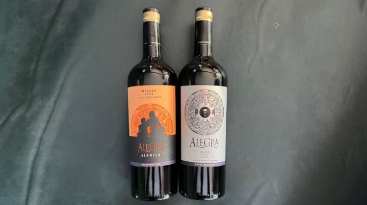 Presentan un nuevo blend Malbec-Carmenere ultra-premium