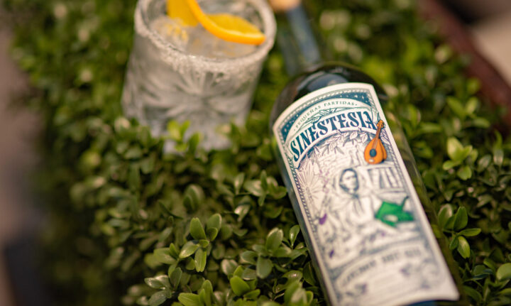 Sinestesia London Dry Gin: el destilado argentino que se destaca en Gran bretaña