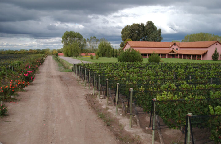 Bodega Fabre Montmayou recibe el Sello Luján Sustentable