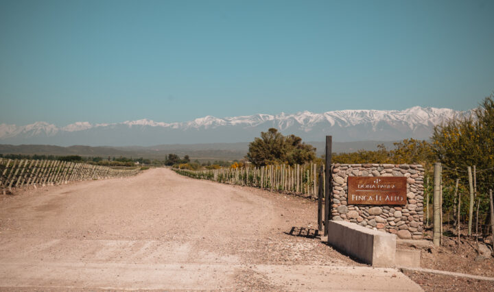 Bodega Doña Paula abre sus puertas al turismo: una experiencia única en el corazón de Luján de Cuyo