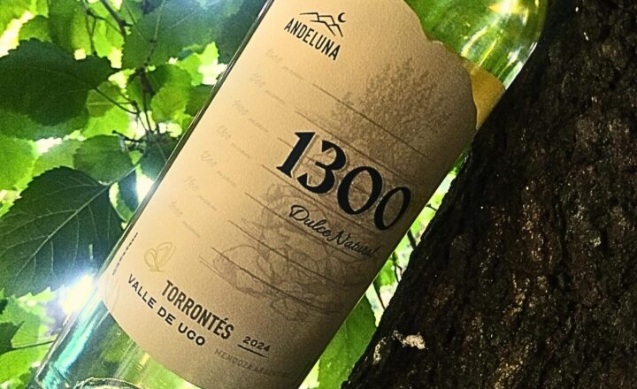 Junto al lanzamiento, Andeluna presenta la nueva imagen de su línea 1300