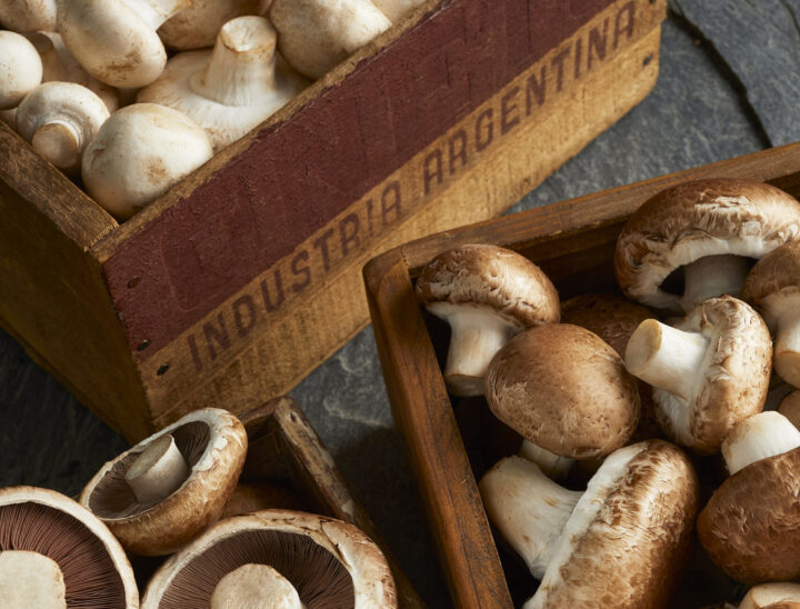 Los hongos pisan fuerte: una tendencia saludable que crece en Argentina