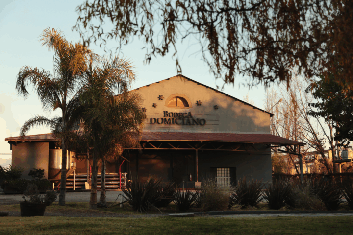 Celebrá la primavera con los elegidos de Bodega Domiciano