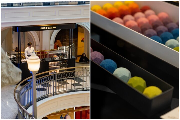 PUROPATIO: PUROCACAO celebra 20 años con un nuevo espacio en Patio Bullrich