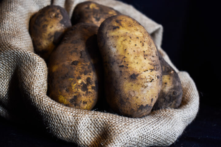 McCain Foods y Arcos Dorados, trabajando juntos hacia una Agricultura Regenerativa en Argentina