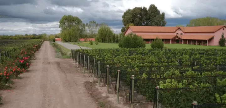 H.J. Fabre Malbec Rosé, el vino ideal para asado, reuniones al aire libre y noches templadas de primavera.