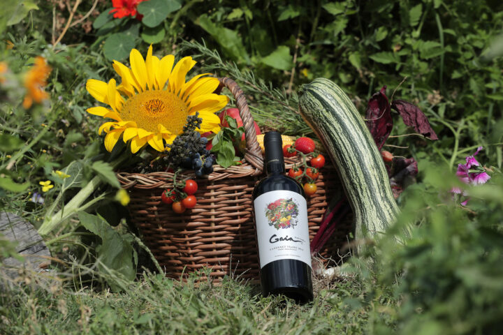 Domaine Bousquet celebra el Día del Vino Argentino