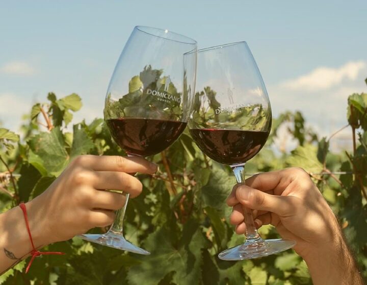 Este verano disfrutá entre los viñedos de Bodega Domiciano