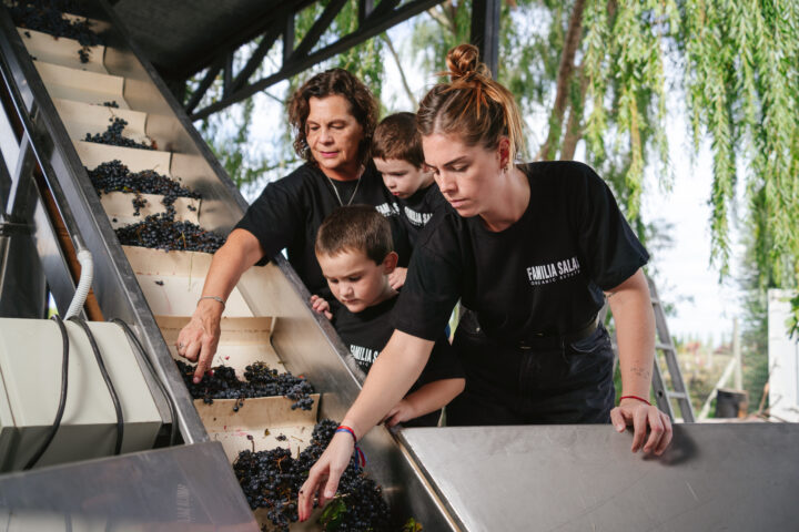 La apuesta orgánica de Familia Salas para celebrar el Día Mundial del Malbec
